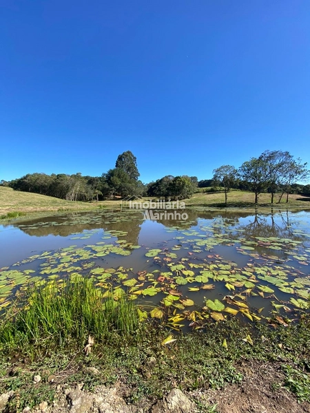 Chácara na Avenquinha em Campo Alegre/SC - Um lugar para viver a tranquilidade que só Campo Alegre pode oferecer: 22ª foto da galeria de imagens do imóvel