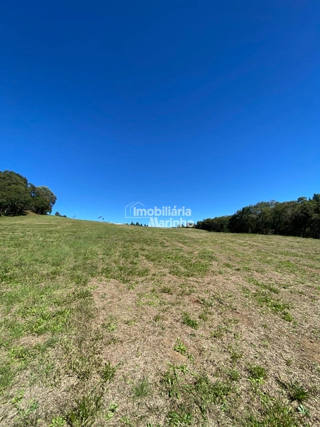 Chácara na Avenquinha em Campo Alegre/SC - Um lugar para viver a tranquilidade que só Campo Alegre pode oferecer: 2ª foto da galeria de imagens do imóvel