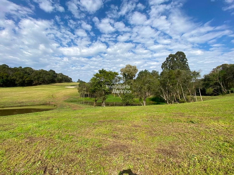 Chácara na Avenquinha em Campo Alegre/SC - Um lugar para viver a tranquilidade que só Campo Alegre pode oferecer: 6ª foto da galeria de imagens do imóvel