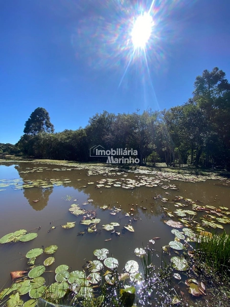 Chácara na Avenquinha em Campo Alegre/SC - Um lugar para viver a tranquilidade que só Campo Alegre pode oferecer: 20ª foto da galeria de imagens do imóvel