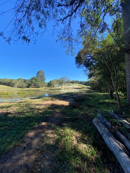 Chácara na Avenquinha em Campo Alegre/SC - Um lugar para viver a tranquilidade que só Campo Alegre pode oferecer: 16ª foto da galeria de imagens do imóvel