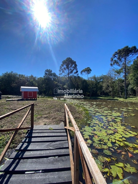 Chácara na Avenquinha em Campo Alegre/SC - Um lugar para viver a tranquilidade que só Campo Alegre pode oferecer: 26ª foto da galeria de imagens do imóvel