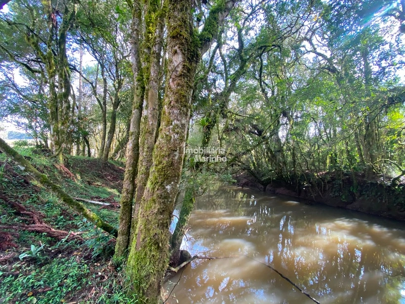 Chácara na Avenquinha em Campo Alegre/SC - Um lugar para viver a tranquilidade que só Campo Alegre pode oferecer: 9ª foto da galeria de imagens do imóvel