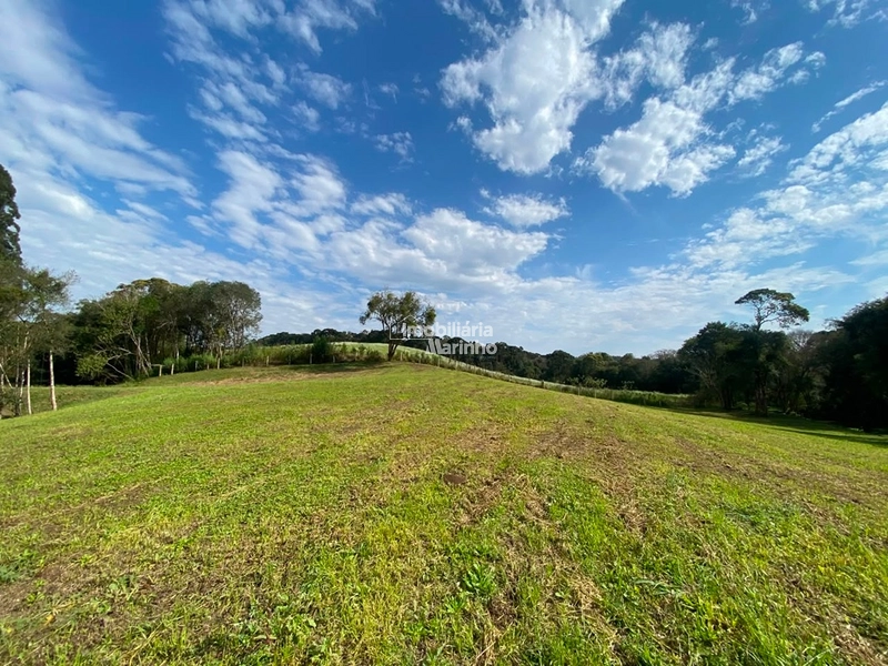 Chácara na Avenquinha em Campo Alegre/SC - Um lugar para viver a tranquilidade que só Campo Alegre pode oferecer: 5ª foto da galeria de imagens do imóvel