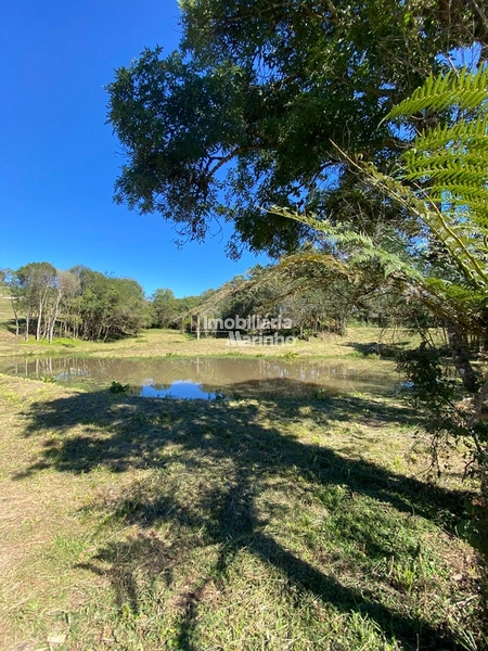 Chácara na Avenquinha em Campo Alegre/SC - Um lugar para viver a tranquilidade que só Campo Alegre pode oferecer: 5ª foto da galeria de imagens do imóvel