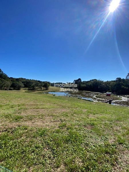Chácara na Avenquinha em Campo Alegre/SC - Um lugar para viver a tranquilidade que só Campo Alegre pode oferecer: 31ª foto da galeria de imagens do imóvel