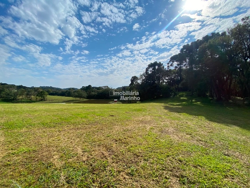 Chácara na Avenquinha em Campo Alegre/SC - Um lugar para viver a tranquilidade que só Campo Alegre pode oferecer: 18ª foto da galeria de imagens do imóvel
