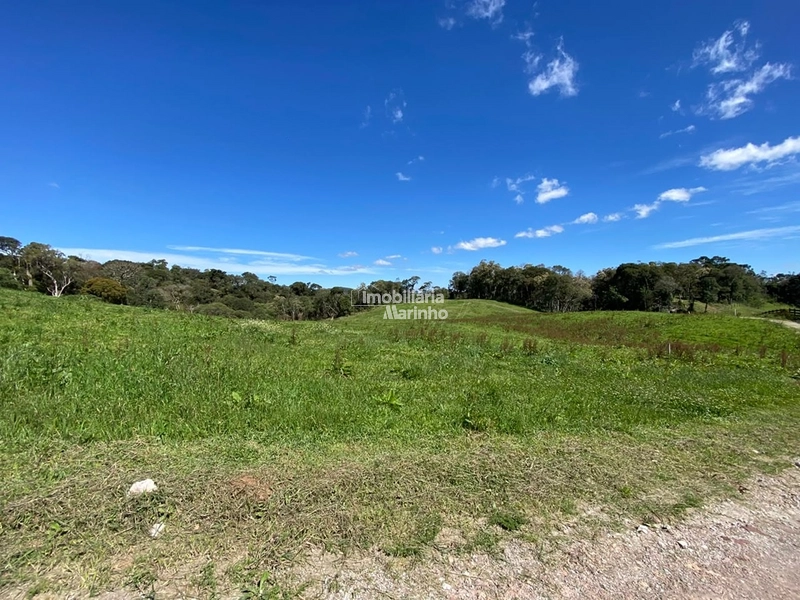 Chácara no Condomínio Rota das Ovelhas, em Campo Alegre/SC: 4ª foto da galeria de imagens do imóvel