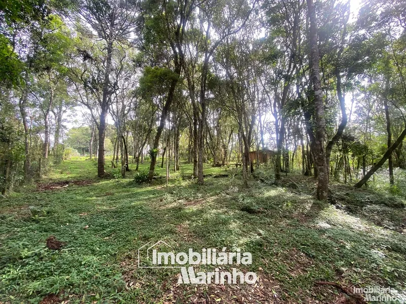 null: 6ª foto da galeria de imagens do imóvel