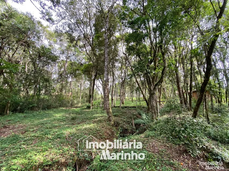 null: 3ª foto da galeria de imagens do imóvel