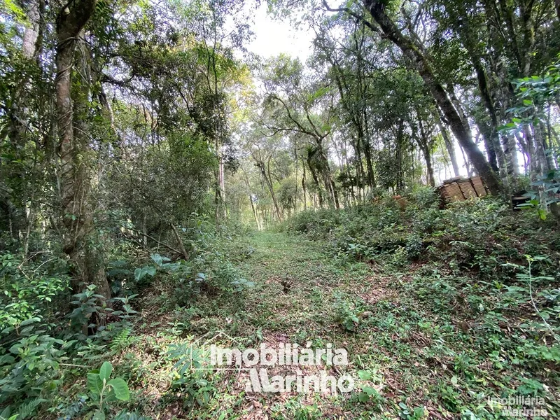 null: 2ª foto da galeria de imagens do imóvel