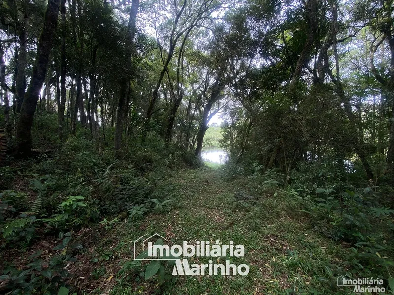 null: 7ª foto da galeria de imagens do imóvel