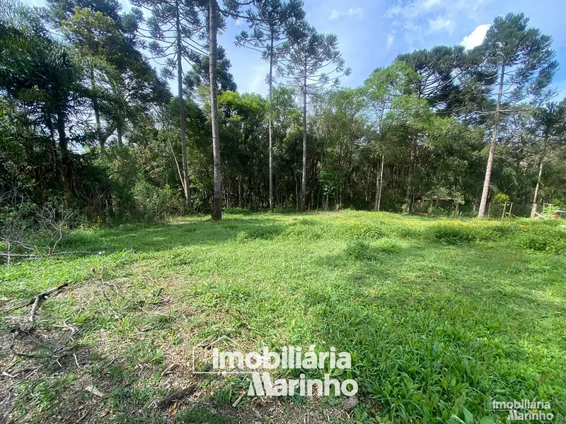 null: 5ª foto da galeria de imagens do imóvel
