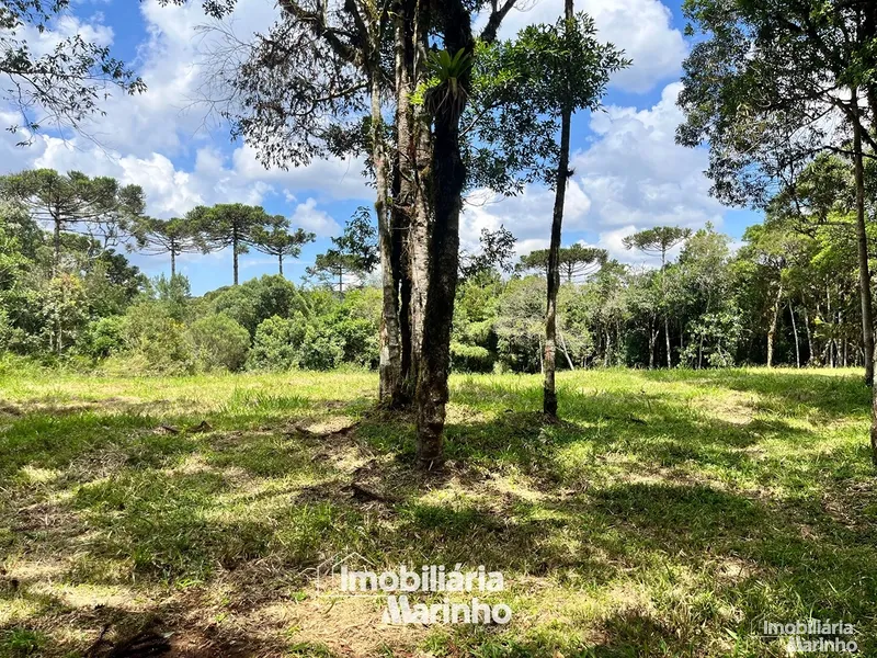 null: 4ª foto da galeria de imagens do imóvel