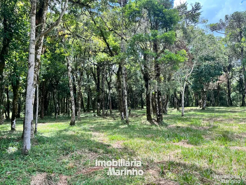 null: 8ª foto da galeria de imagens do imóvel