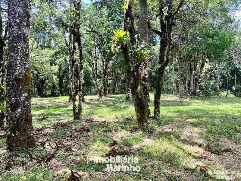 null: 2ª foto da galeria de imagens do imóvel