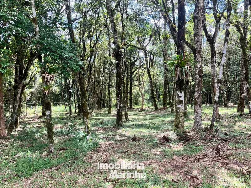 null: 3ª foto da galeria de imagens do imóvel