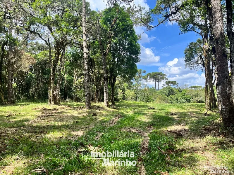 null: 1ª foto da galeria de imagens do imóvel