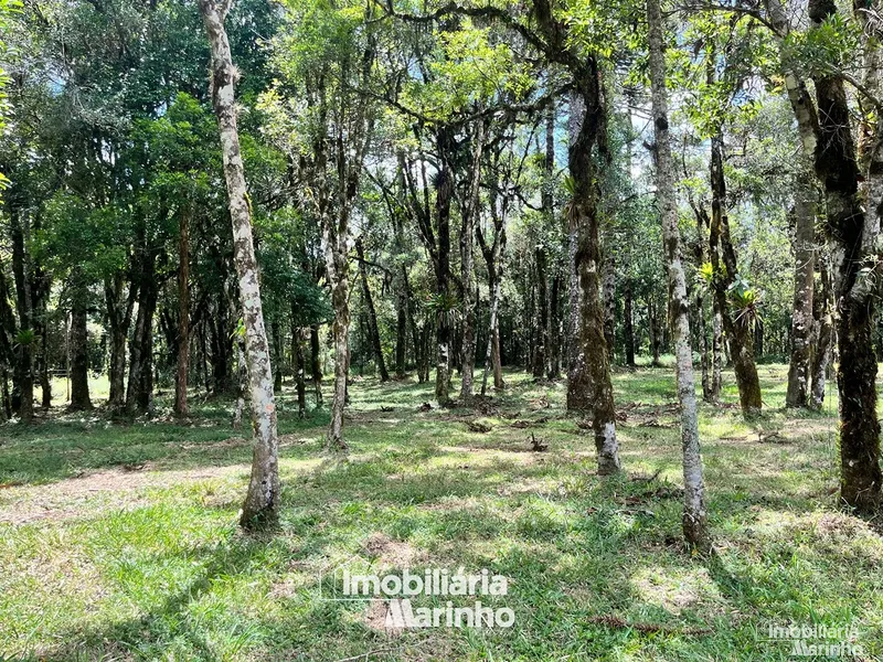 null: 10ª foto da galeria de imagens do imóvel