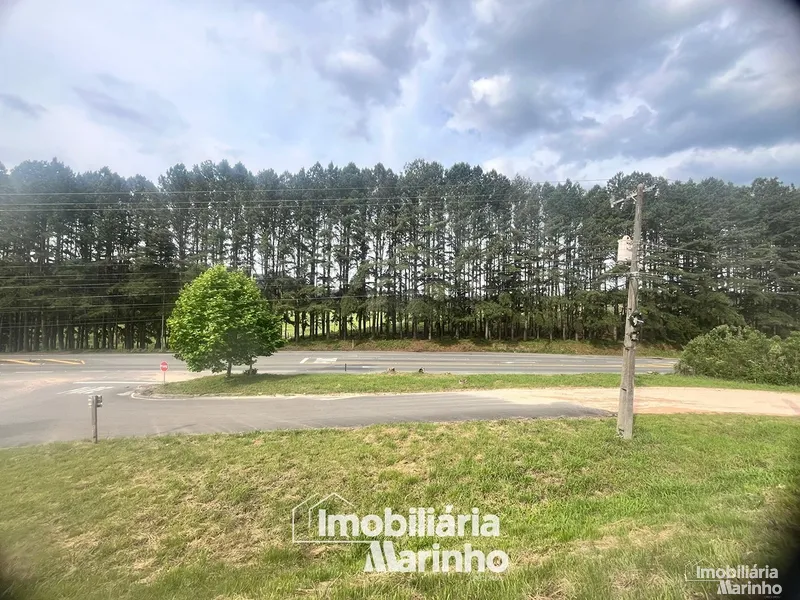 null: 16ª foto da galeria de imagens do imóvel