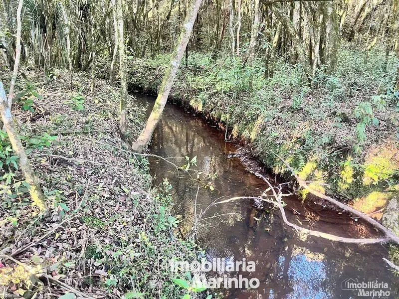 null: 6ª foto da galeria de imagens do imóvel