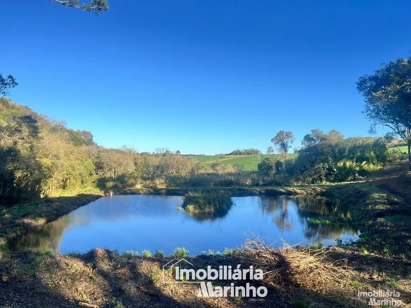 null: 5ª foto da galeria de imagens do imóvel