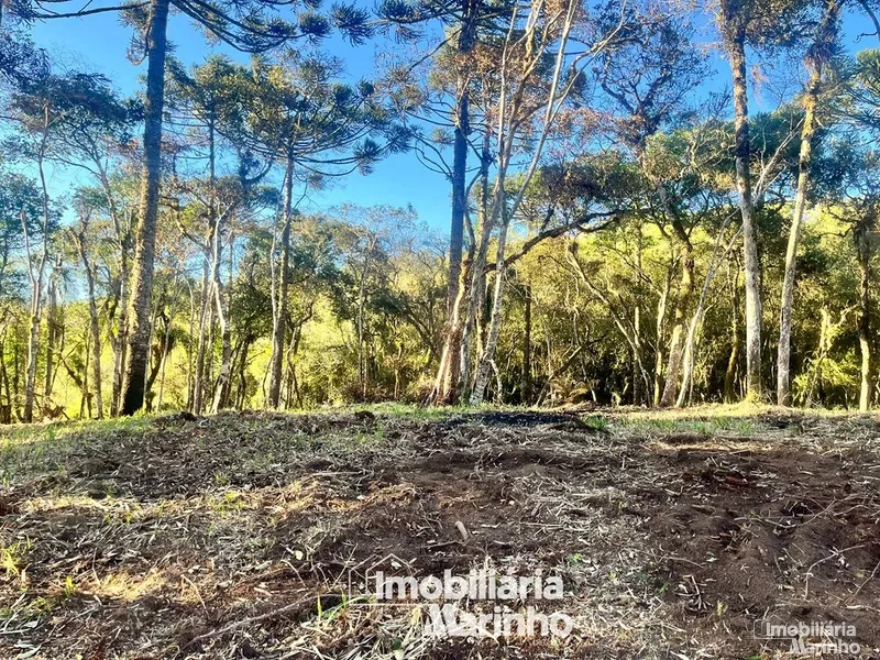 null: 2ª foto da galeria de imagens do imóvel