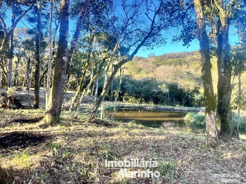 null: 10ª foto da galeria de imagens do imóvel