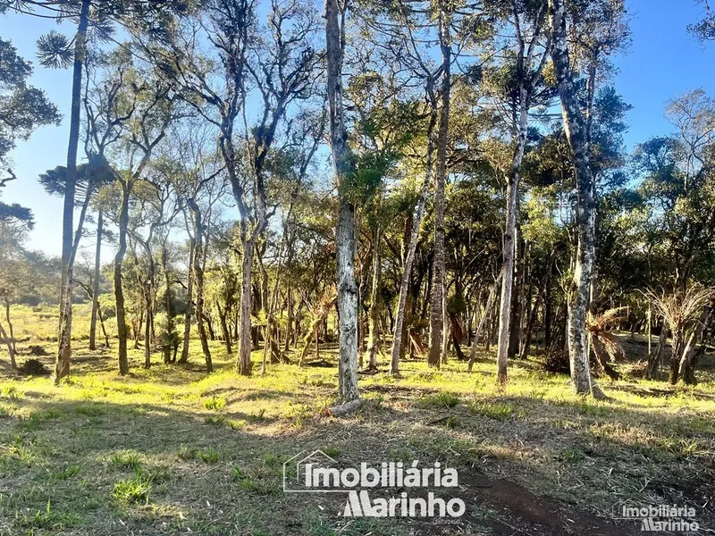 null: 11ª foto da galeria de imagens do imóvel