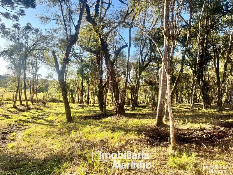 null: 4ª foto da galeria de imagens do imóvel