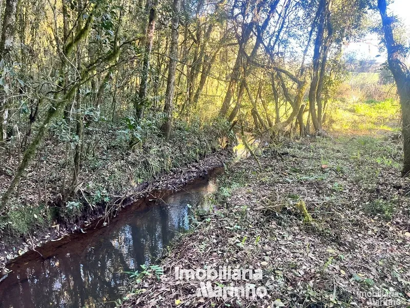 null: 3ª foto da galeria de imagens do imóvel