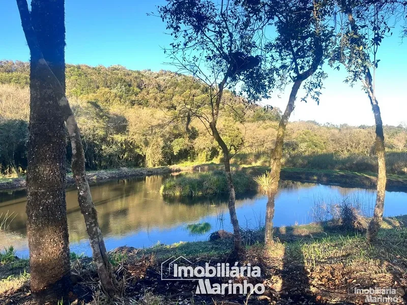 null: 12ª foto da galeria de imagens do imóvel
