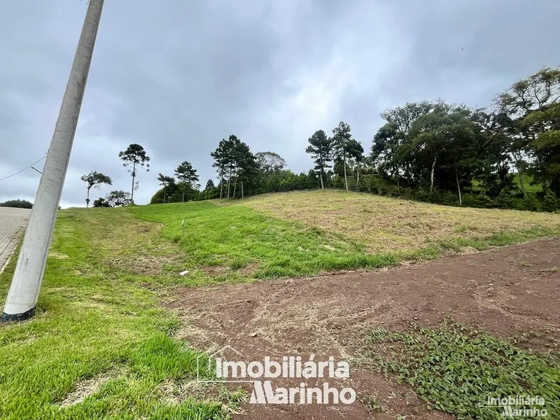null: 4ª foto da galeria de imagens do imóvel