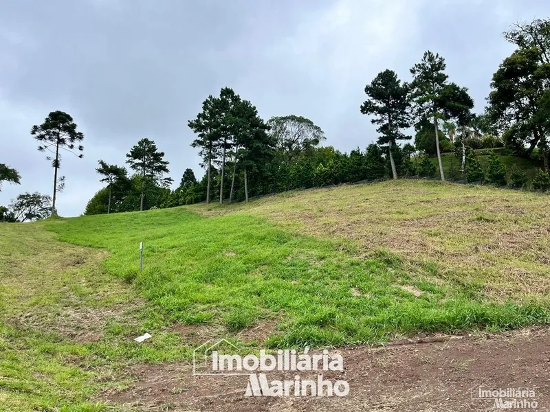null: 3ª foto da galeria de imagens do imóvel