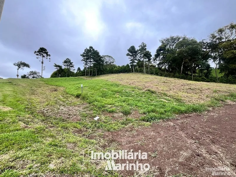 null: 2ª foto da galeria de imagens do imóvel