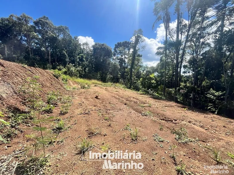null: 1ª foto da galeria de imagens do imóvel