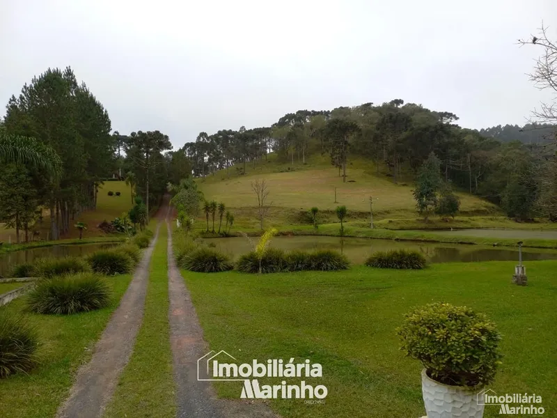 null: 1ª foto da galeria de imagens do imóvel