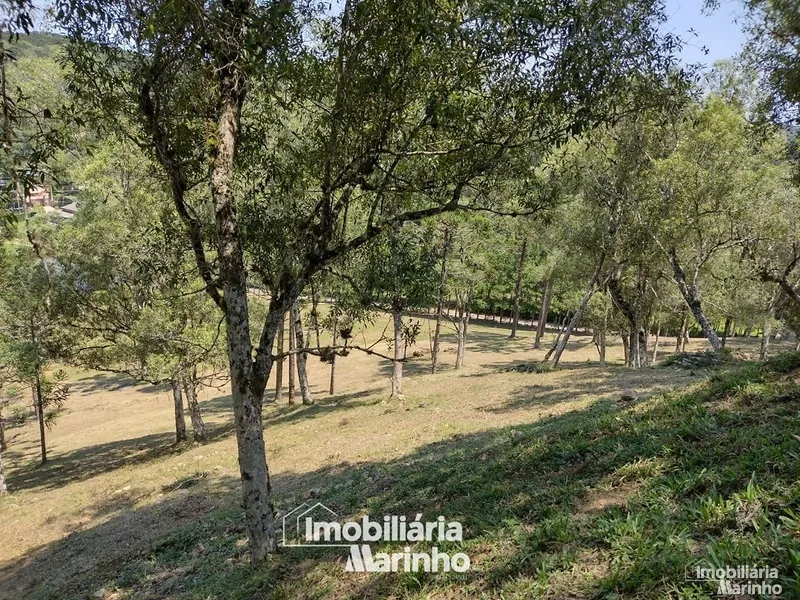 null: 38ª foto da galeria de imagens do imóvel