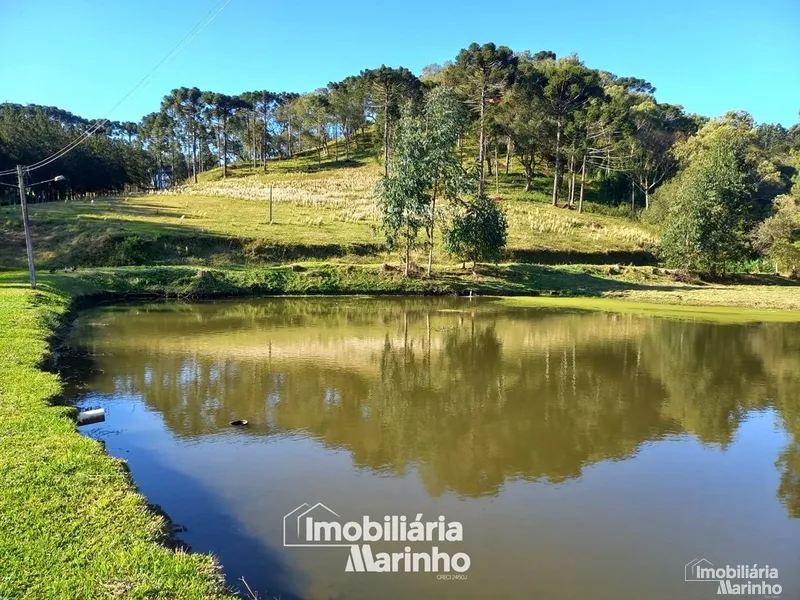 null: 12ª foto da galeria de imagens do imóvel