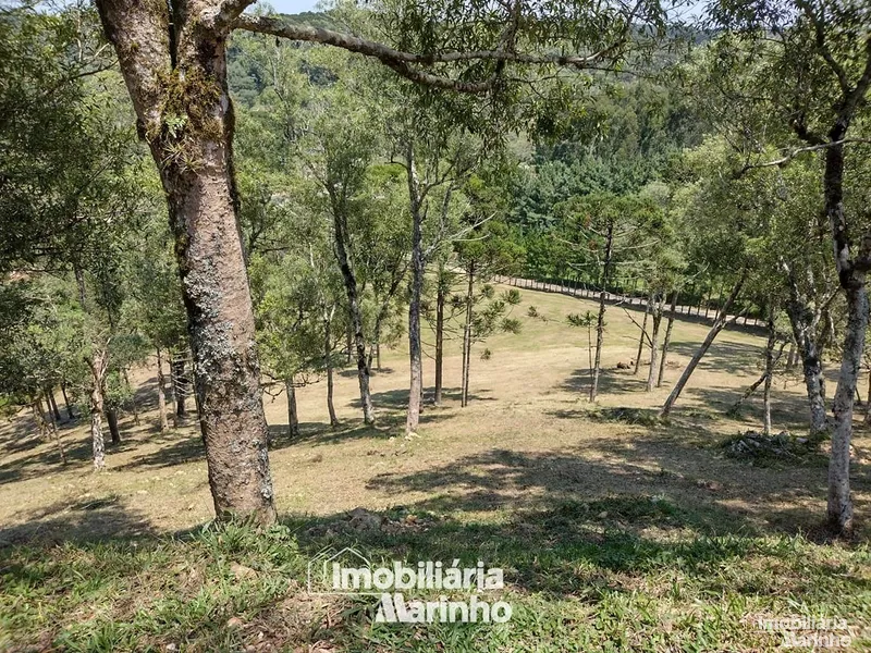 null: 31ª foto da galeria de imagens do imóvel