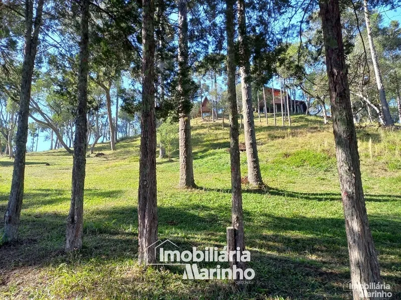 null: 7ª foto da galeria de imagens do imóvel