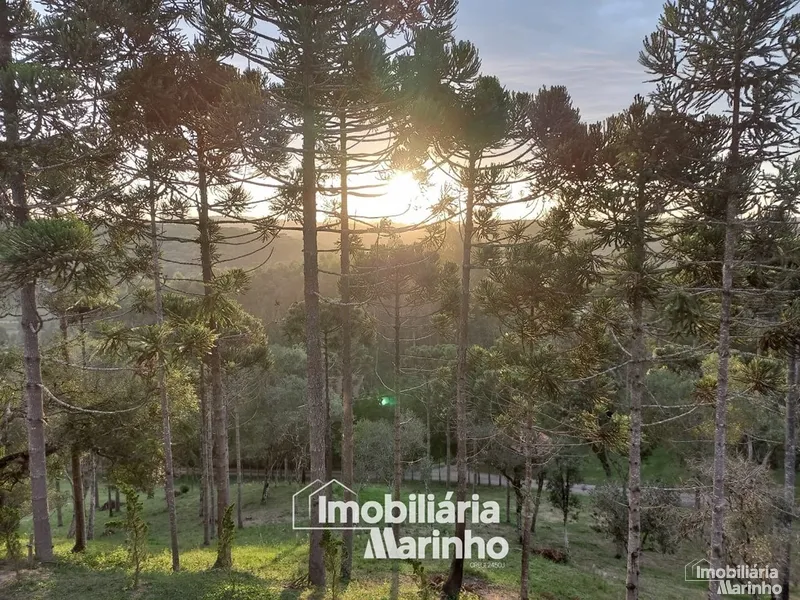 null: 2ª foto da galeria de imagens do imóvel