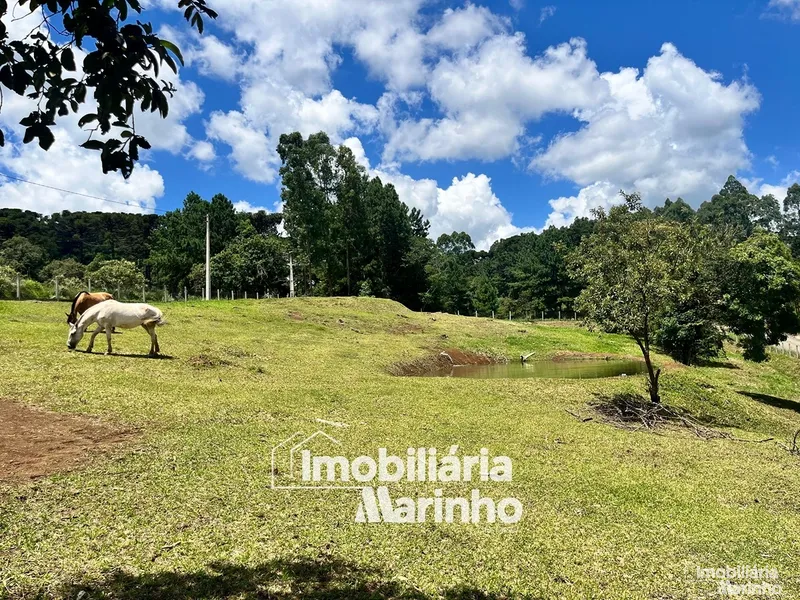 null: 5ª foto da galeria de imagens do imóvel