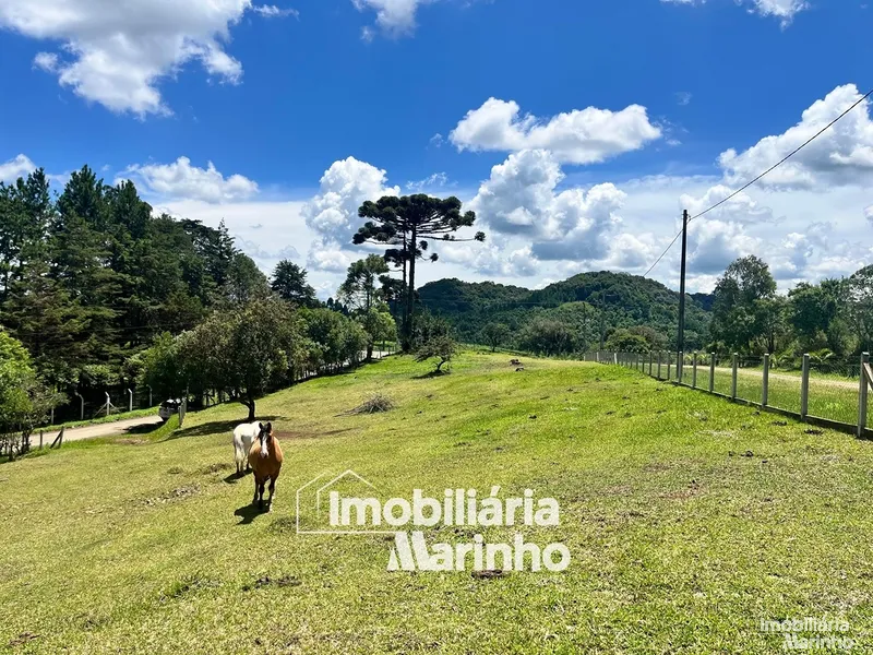 null: 16ª foto da galeria de imagens do imóvel