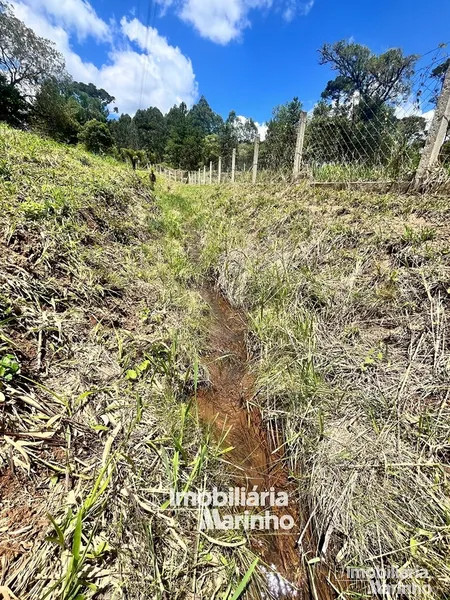 null: 7ª foto da galeria de imagens do imóvel