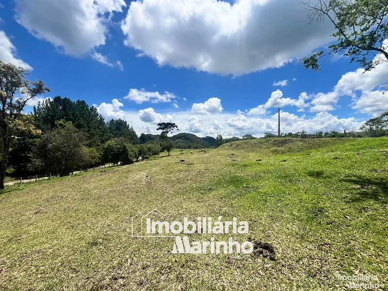 null: 11ª foto da galeria de imagens do imóvel