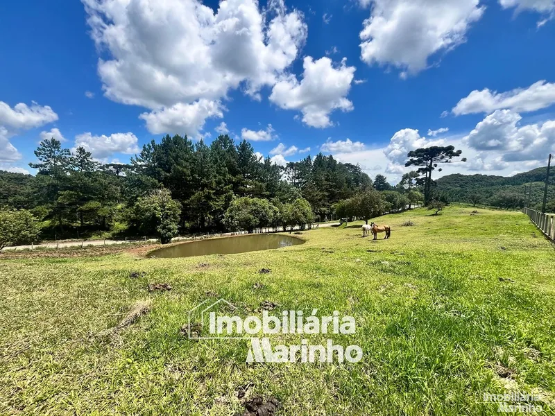 null: 1ª foto da galeria de imagens do imóvel