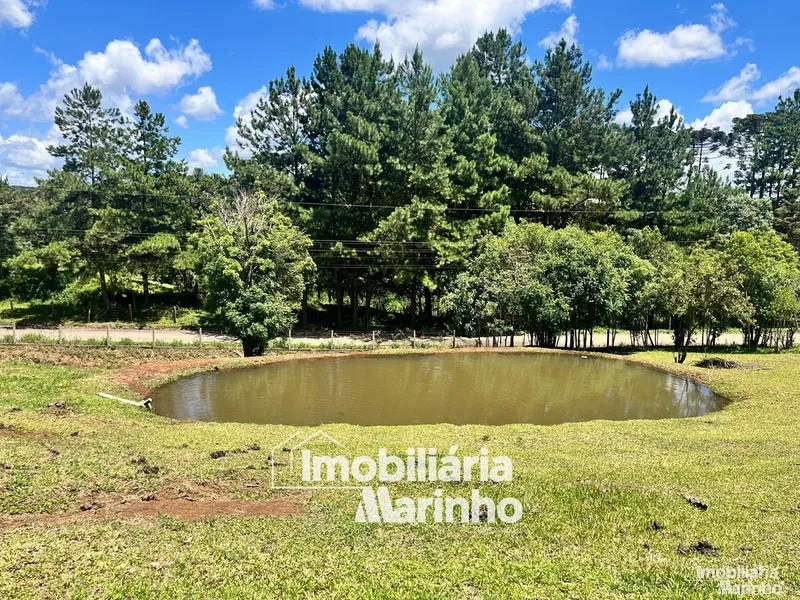 null: 15ª foto da galeria de imagens do imóvel