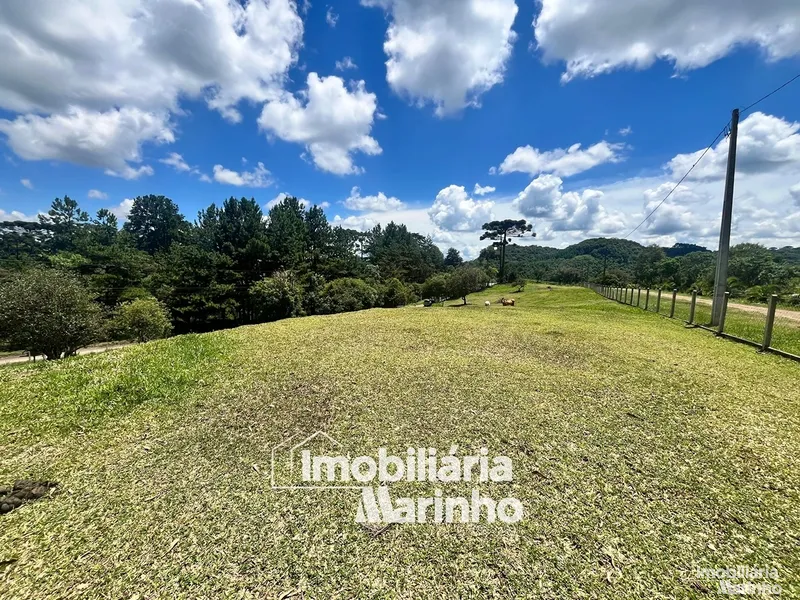 null: 14ª foto da galeria de imagens do imóvel