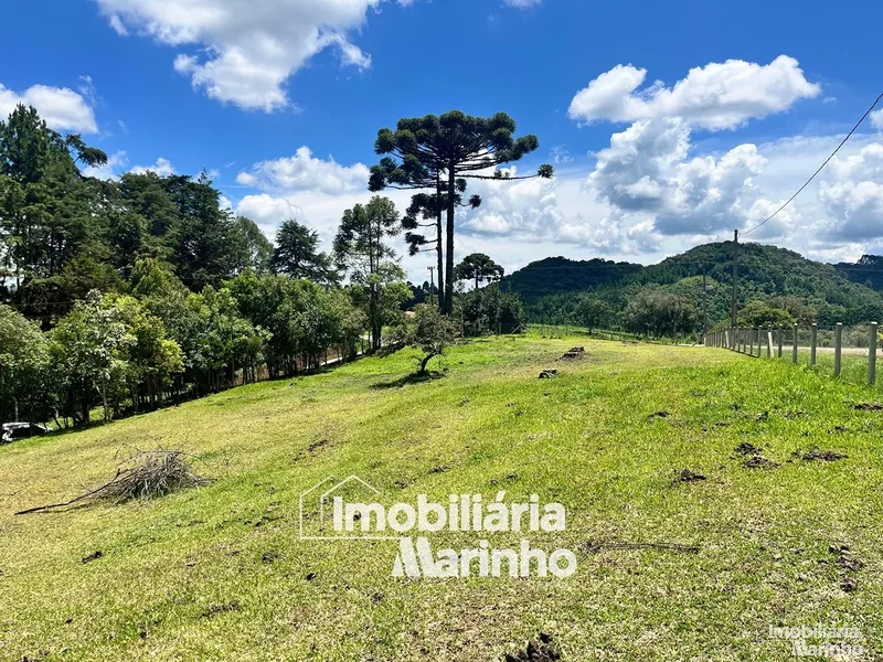 null: 17ª foto da galeria de imagens do imóvel